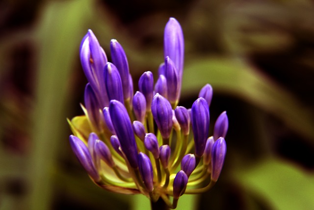 凌晨時間點 凌晨時間點