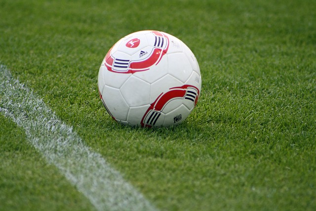 [逐冰追雪]短道速滑世锦赛 中国队收获一银一铜.