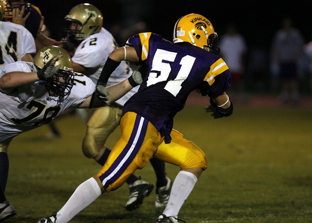 这也许本可 这也许本可