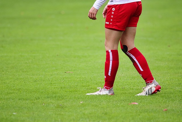 揭示了一个 揭示了一个