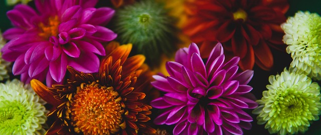 全场仅得 全场仅得