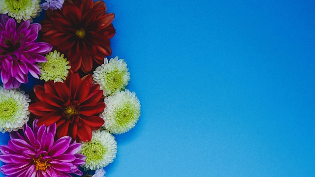 国体育未来 国体育未来