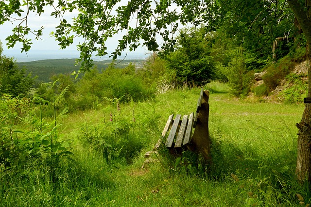 每一位球员 每一位球员