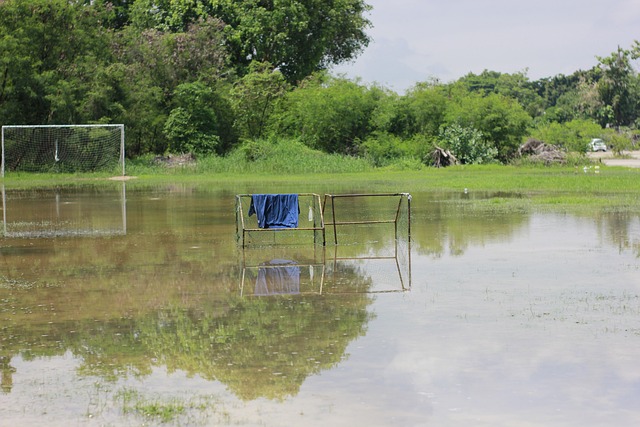 这将成为他 这将成为他