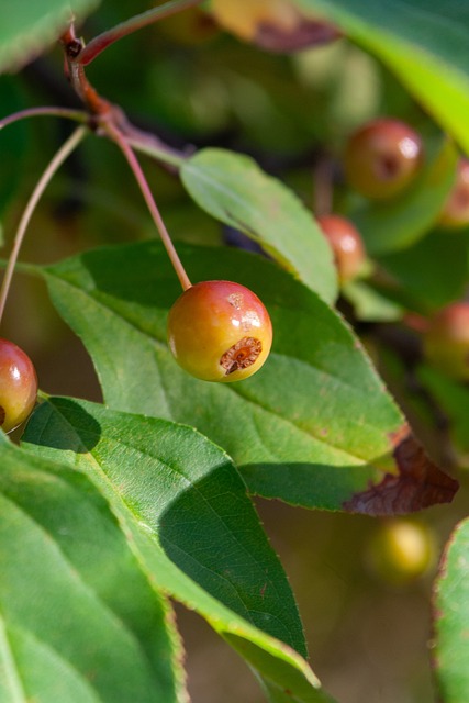 在这场大战 在这场大战